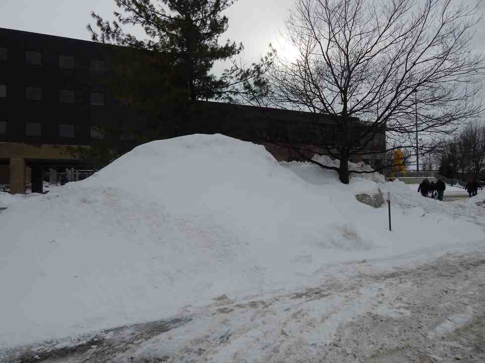 Picture of snow pile and slush on campus